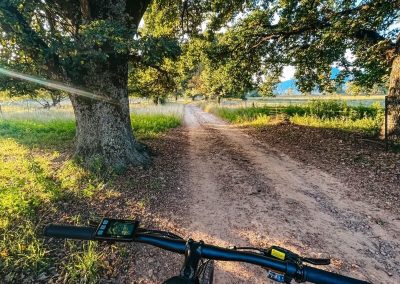 Bike trail view clarens